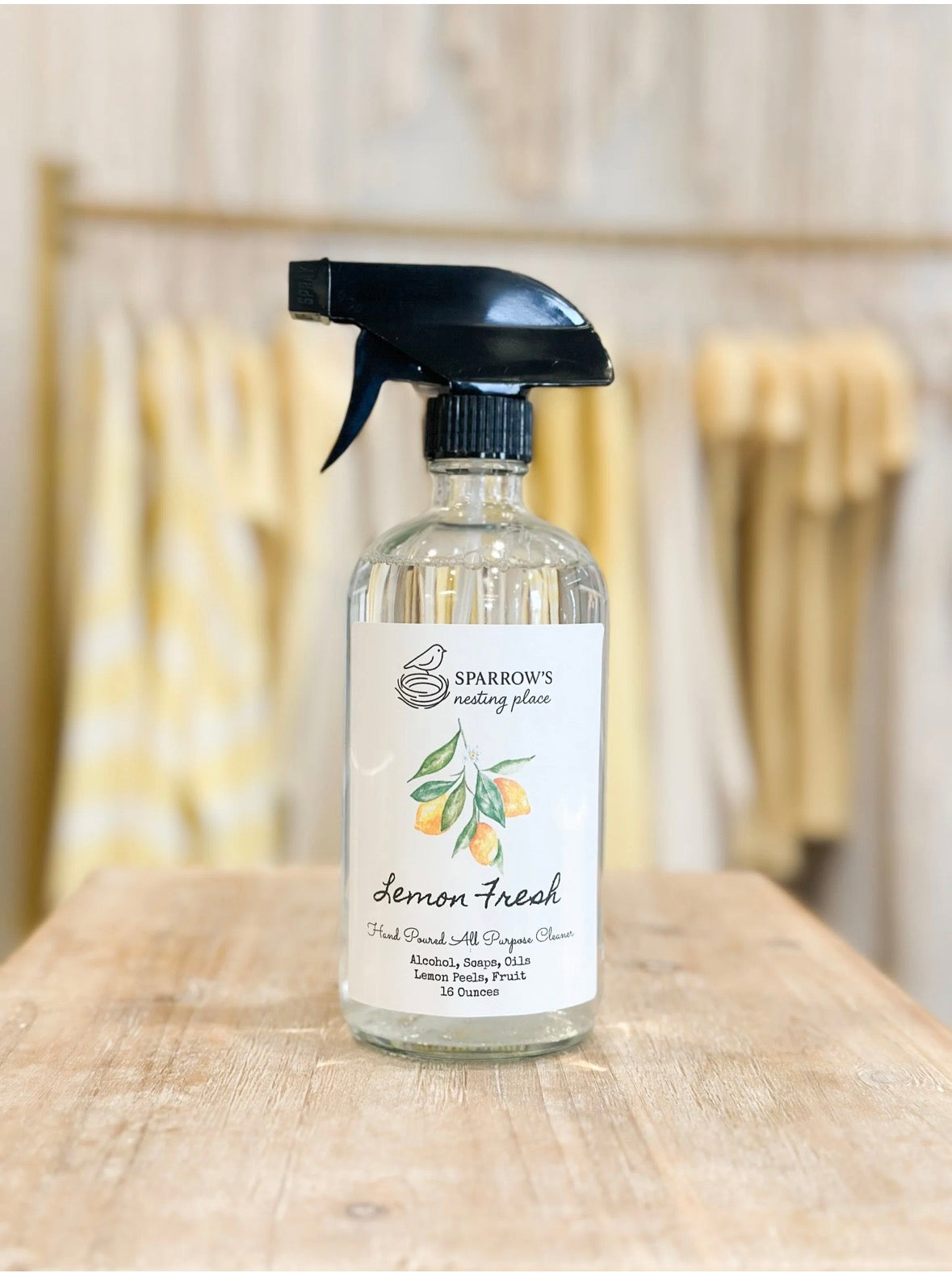 Non-Toxic Cleaning Spray | 3-Pack Refill Box