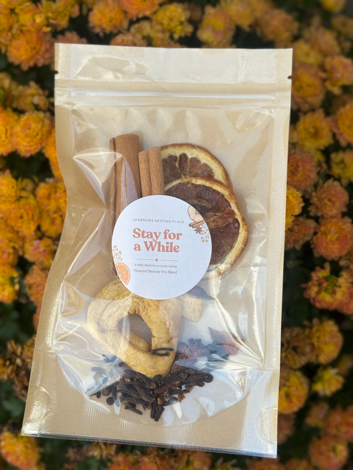 Stay for a While | Natural Simmer Pot Blend