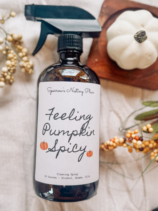 Feeling Pumpkin Spicy Cleaner