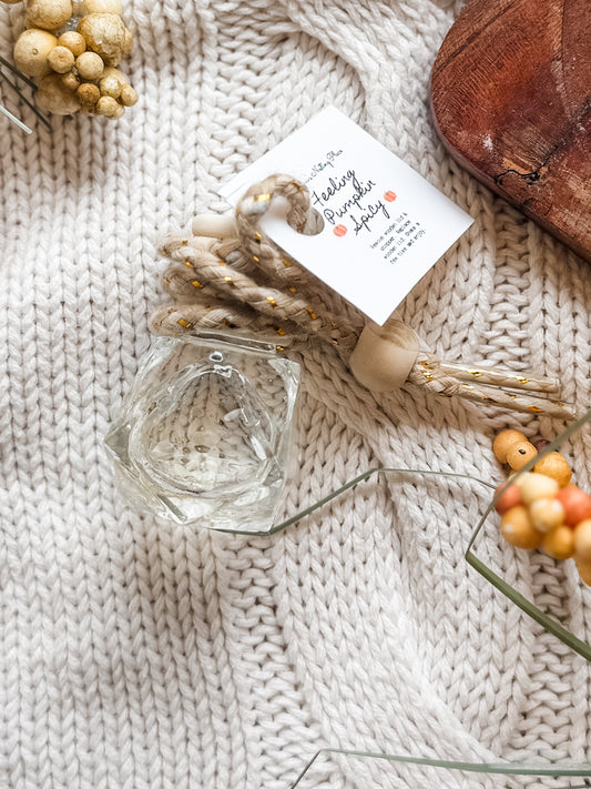 Feeling Pumpkin Spicy Car Diffuser