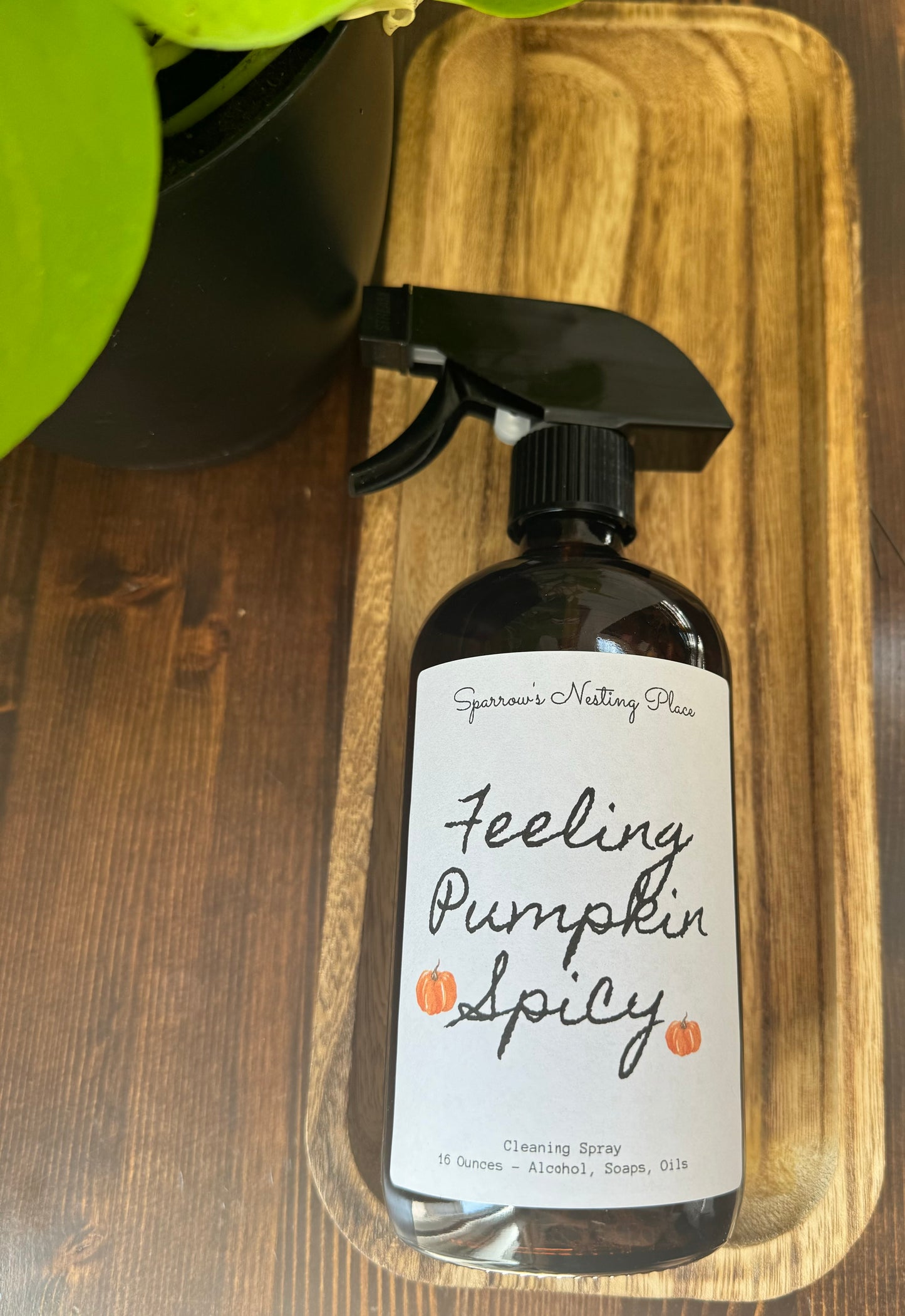 Feeling Pumpkin Spicy Cleaner